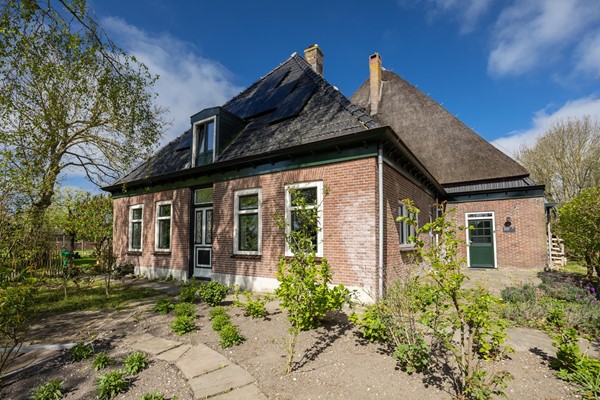 FotovanDana-Wollegras 77-52.jpg